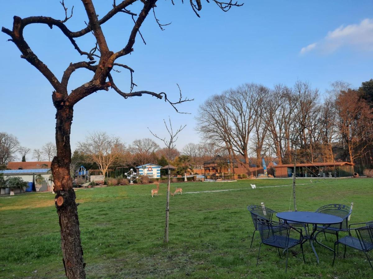 B&B Casa Roman & Vakantiewoning Voor 1 Pers Tot Max 32 Personen Zonhoven Buitenkant foto